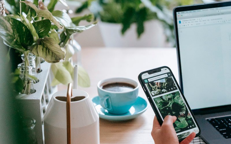 Mano rodeada de plantas que sostiene teléfono móvil con fotos de plantas y portálil